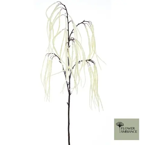 800x800 Foxtail grass cream 136cm